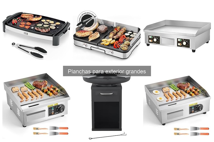 Comparativa: Planchas de gas vs eléctricas grandes para exterior