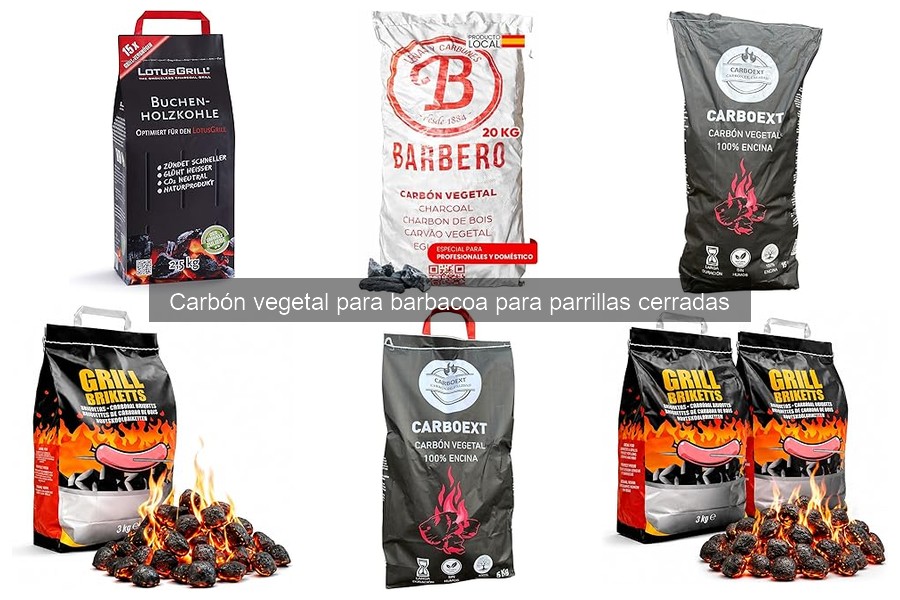 ** Consejos de Seguridad al Usar Carbón Vegetal para Barbacoa