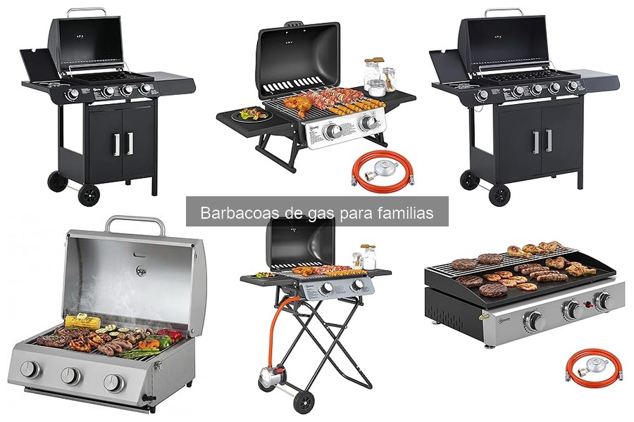 ¿Cuánto cuesta una barbacoa de gas para familias?
