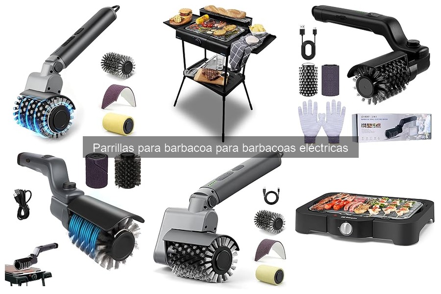 Deliciosas recetas para parrillas eléctricas