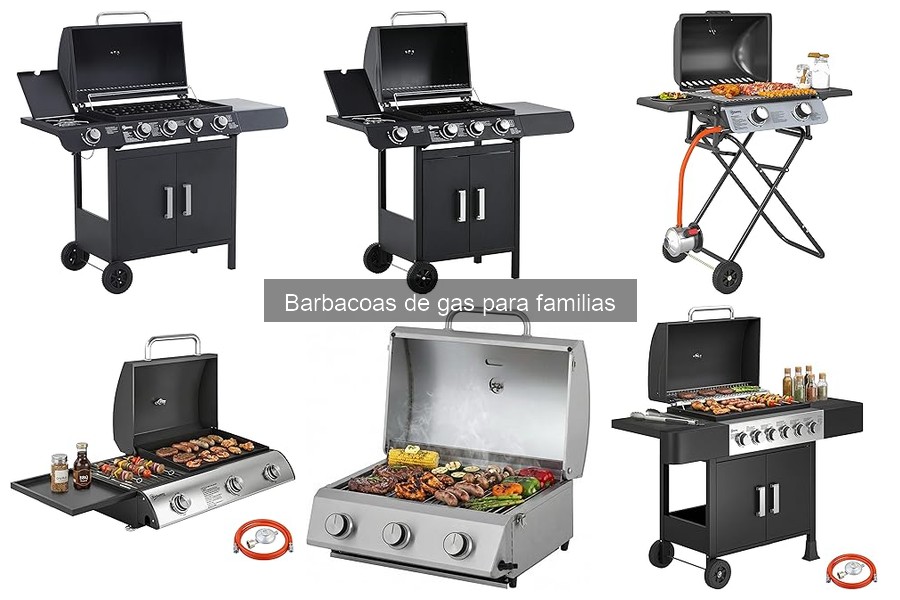 Dónde comprar barbacoas de gas a buen precio para familias