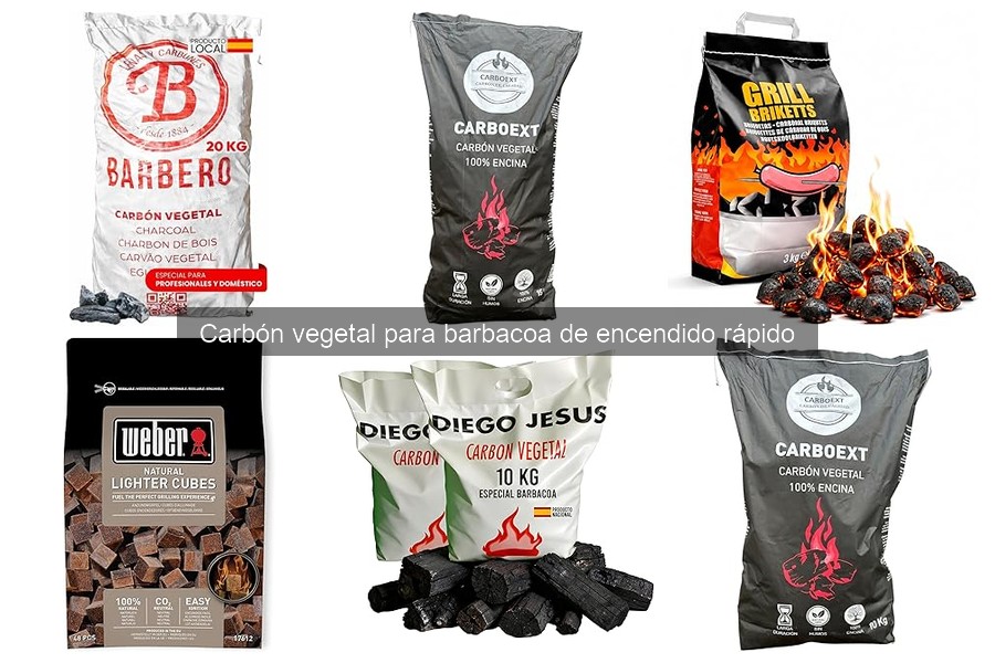 Dónde comprar carbón vegetal de encendido rápido para barbacoa