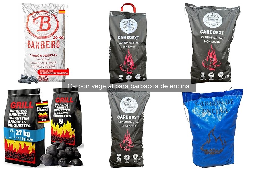 Dónde comprar carbón vegetal de encina al mejor precio