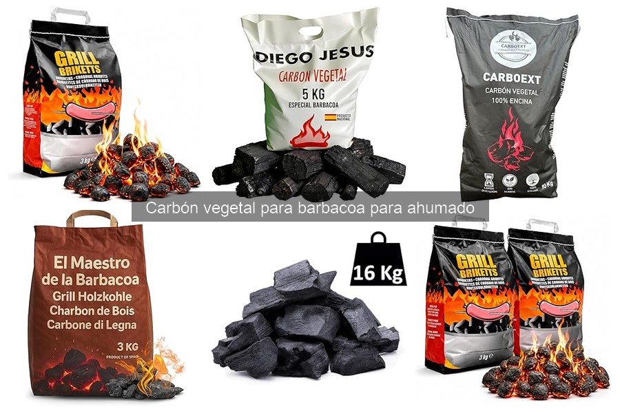 Dónde comprar carbón vegetal para barbacoa: mejores opciones