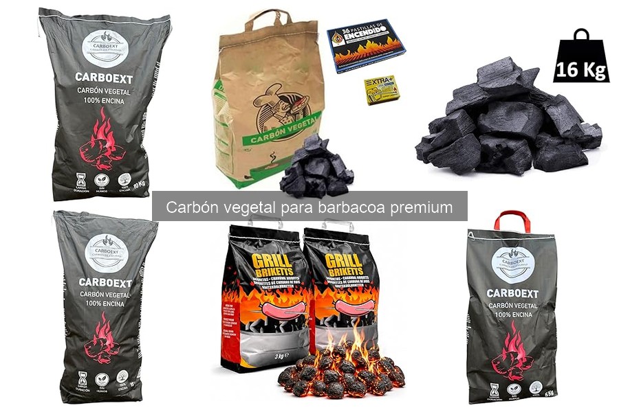 Dónde comprar carbón vegetal premium online: las mejores opciones