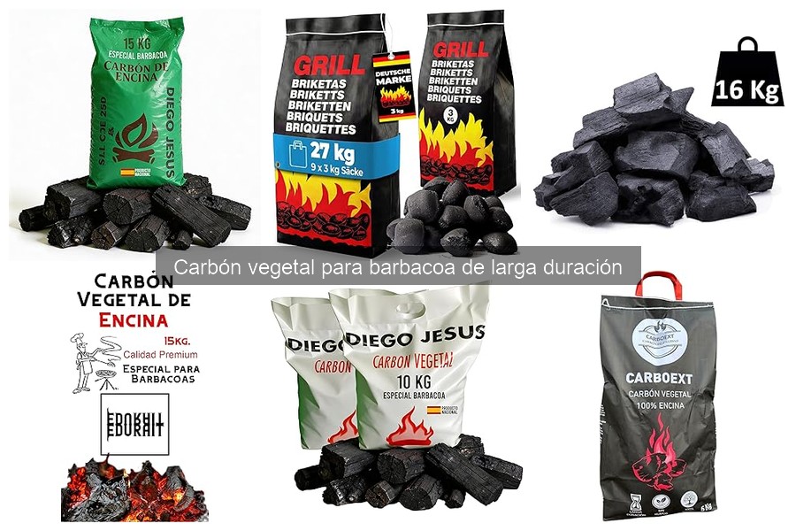 Ecológico o no: ¿Carbón vegetal para barbacoa de larga duración?