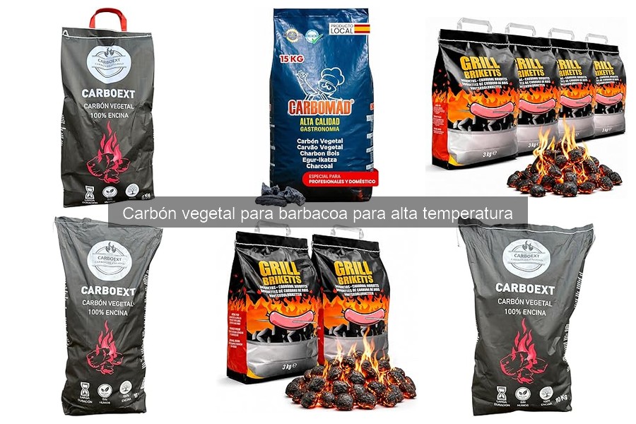El mejor carbón vegetal para ahumar carnes: guía 2023