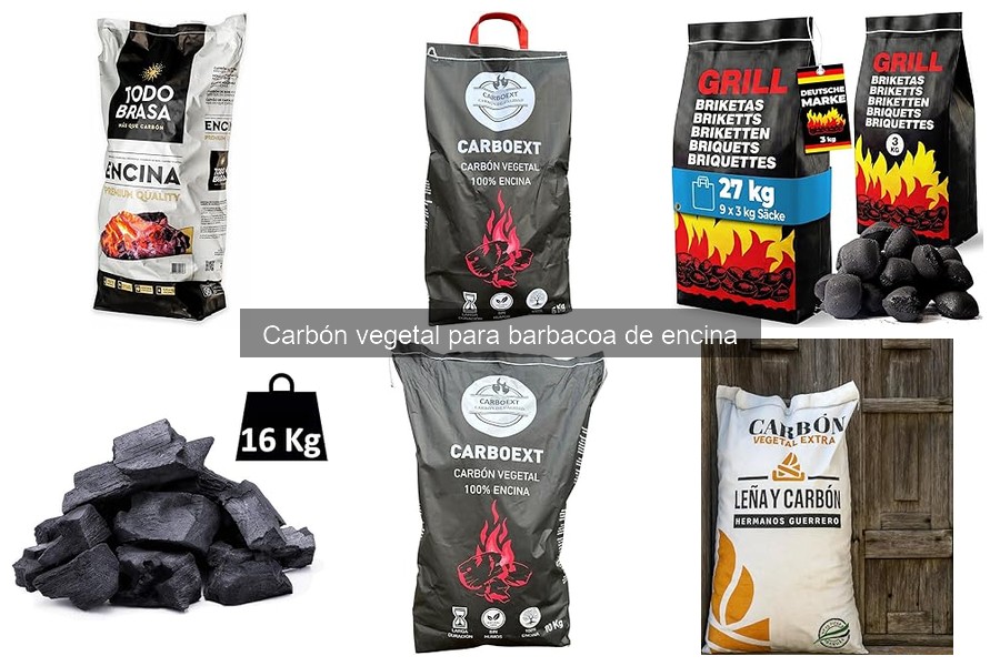 Errores comunes al usar carbón vegetal de encina en barbacoas