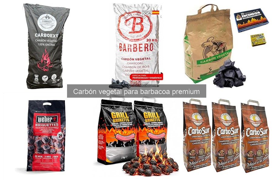 Errores comunes al usar carbón vegetal para barbacoa