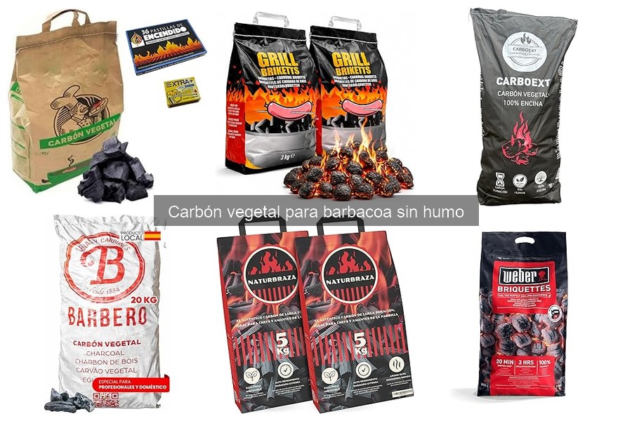 ¿Es el carbón vegetal sin humo ecológico? Descúbrelo