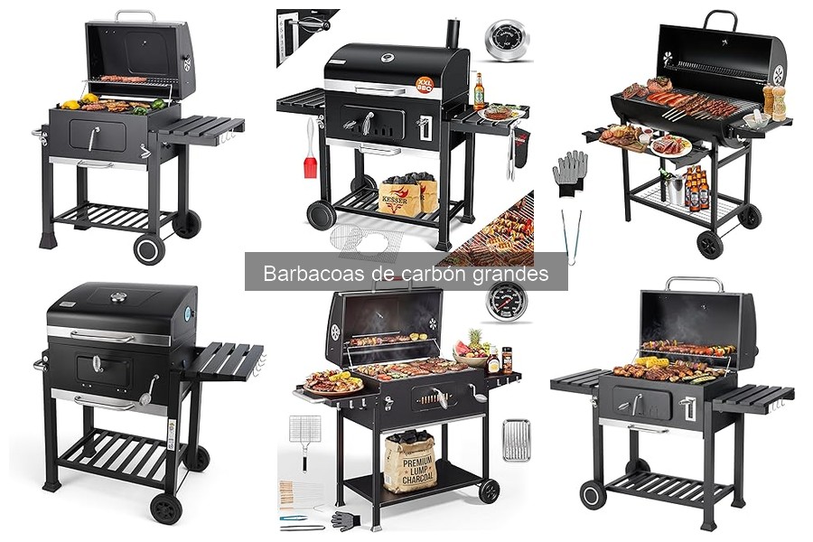 Guía para Elegir la Mejor Barbacoa de Carbón Grande