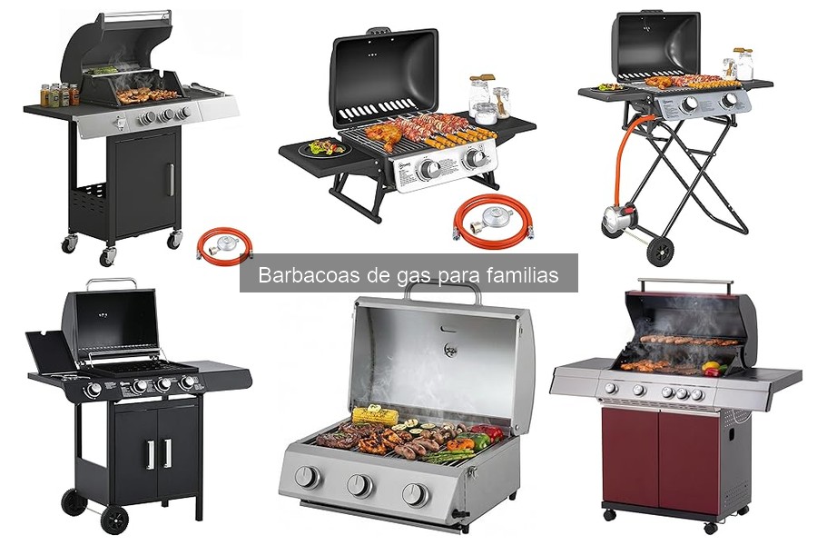 Guía para elegir la mejor barbacoa de gas para familias