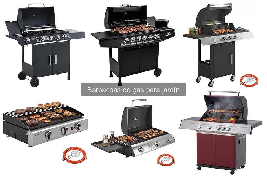 Guía para Elegir la Mejor Barbacoa de Gas para Jardín