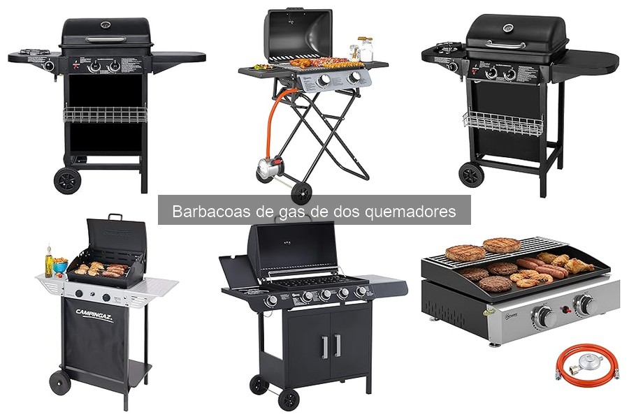 Mantenimiento de Barbacoas de Gas de Dos Quemadores