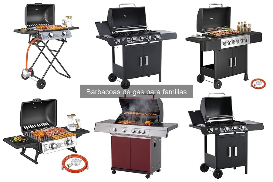 Mejores Accesorios para Barbacoas de Gas para Familias