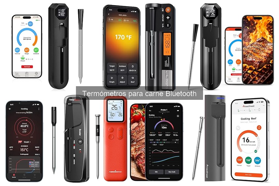 Mejores lugares para comprar termómetros Bluetooth para carne