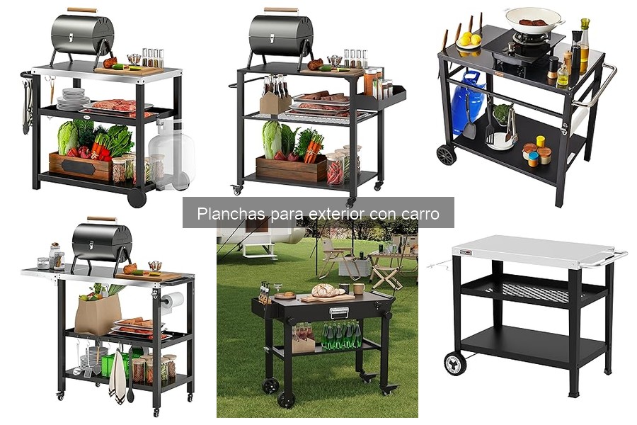 Mejores planchas para exterior con carro según presupuesto