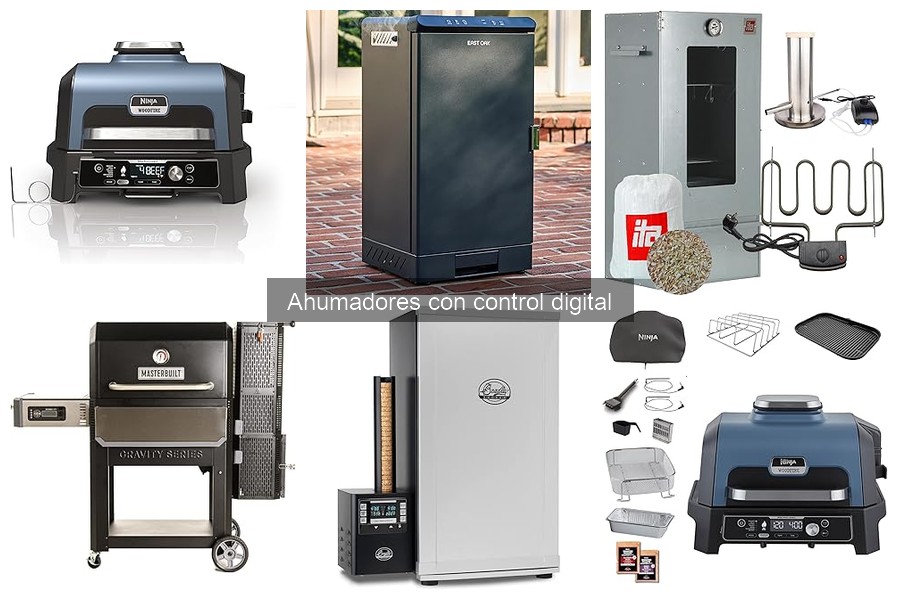 Ofertas y precios de ahumadores con control digital