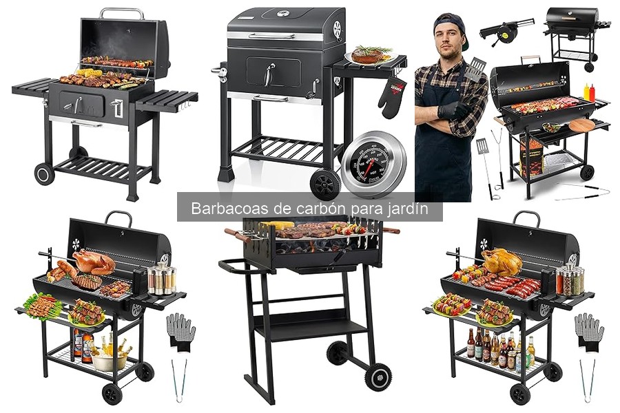 Ofertas y precios de barbacoas de carbón para jardín