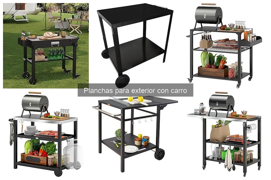 Opiniones sobre planchas para exterior con carro 2023