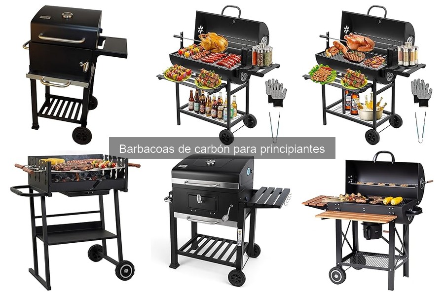 Problemas comunes al usar barbacoas de carbón: Soluciones