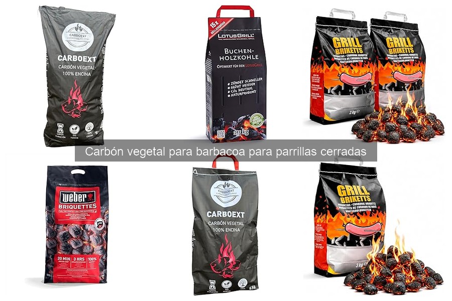 Problemas comunes con el carbón vegetal y sus soluciones
