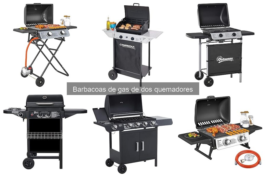 Problemas Comunes en Barbacoas de Gas de Dos Quemadores