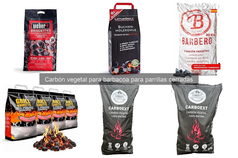 Pros y Contras del Uso de Carbón Vegetal para Barbacoas