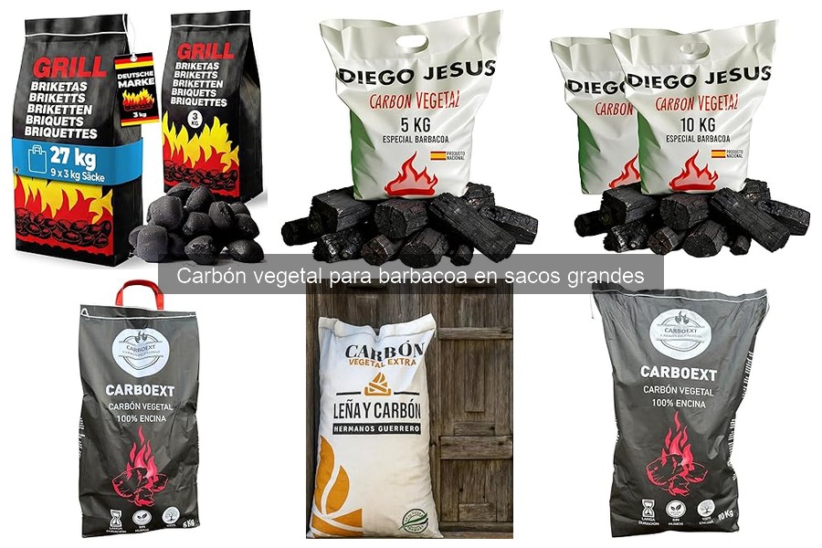¿Qué carbón vegetal elegir para cada tipo de alimento?