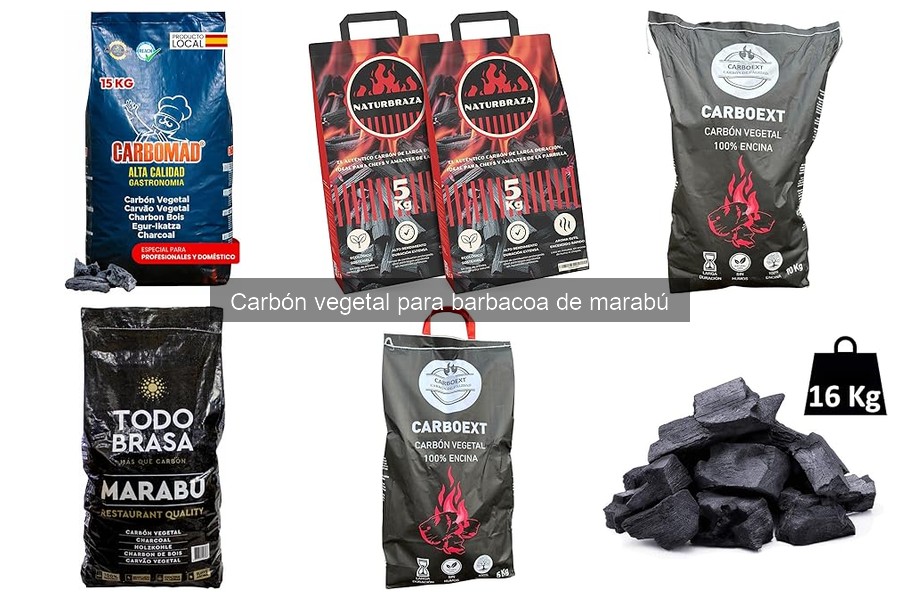 ¿Qué es el carbón vegetal de marabú? Características y Beneficios