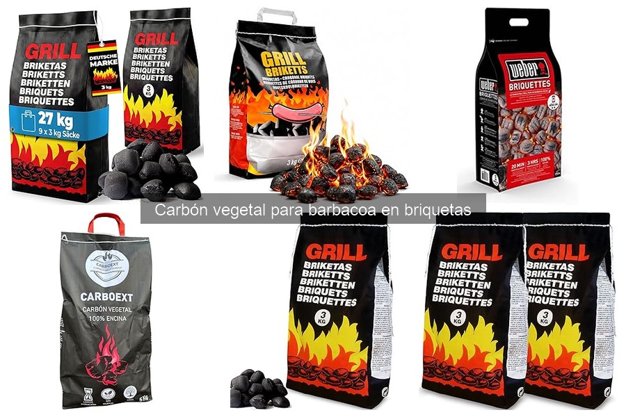 ¿Qué es el carbón vegetal en briquetas? Descubre sus beneficios