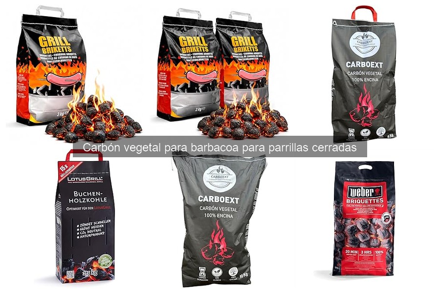 ¿Qué es el carbón vegetal para barbacoa? Características y más
