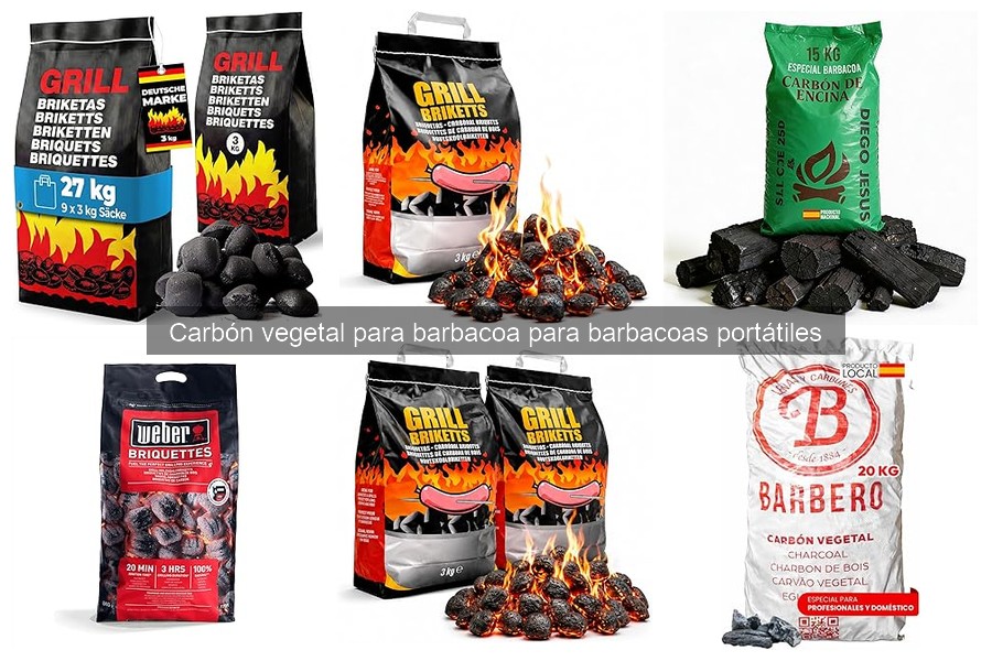 ¿Qué es el carbón vegetal para barbacoa portátil?