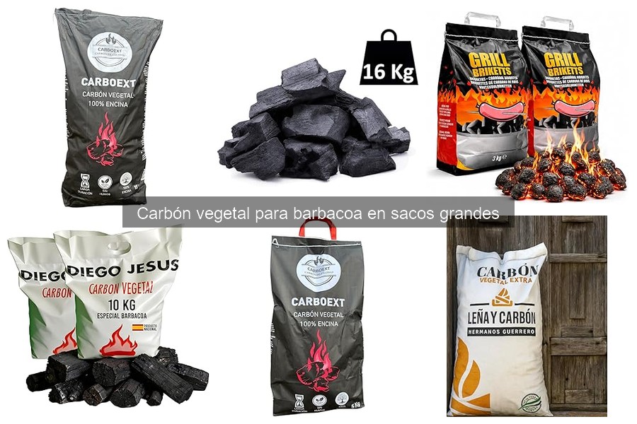 ¿Qué es el carbón vegetal para barbacoa? Propiedades y beneficios