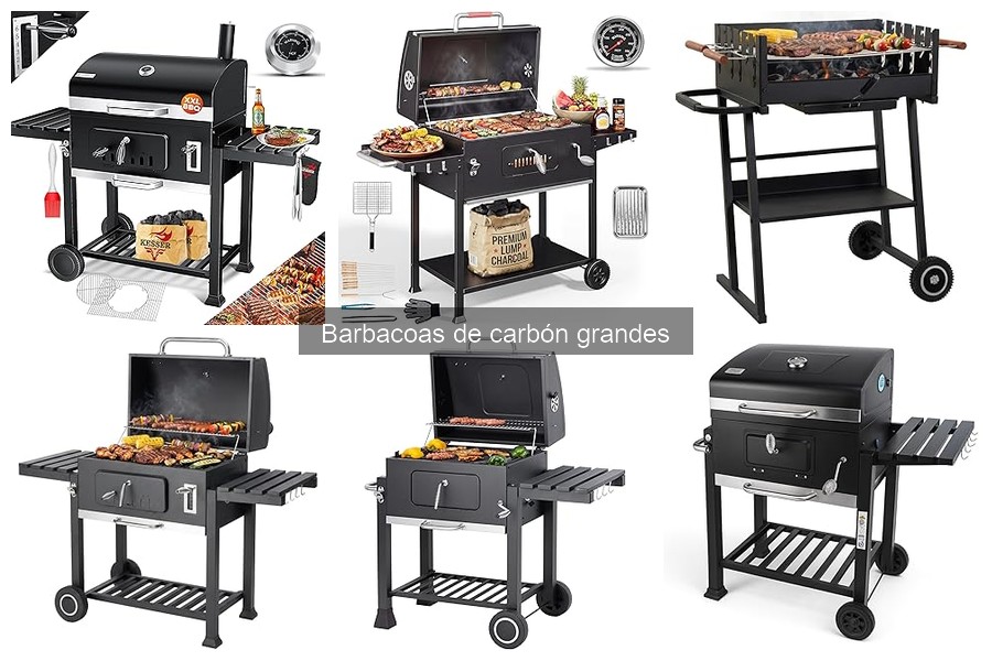 ¿Qué es una barbacoa de carbón grande? Características y beneficios
