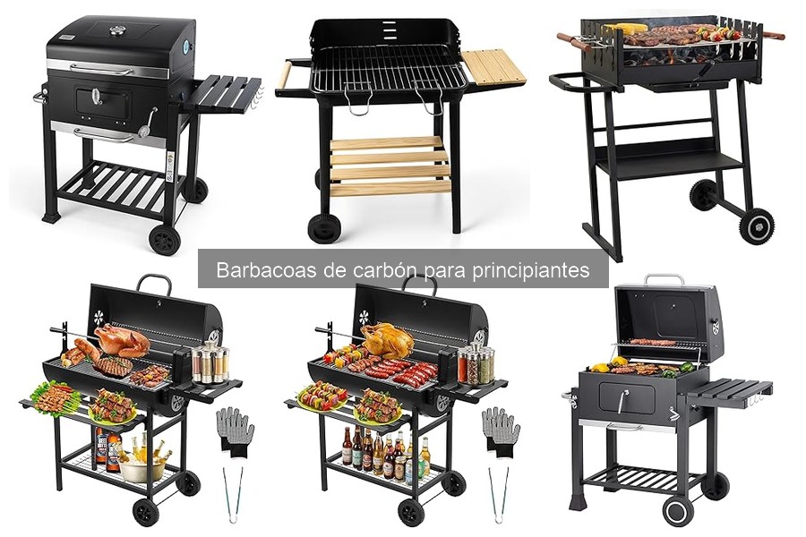 ** ¿Qué es una barbacoa de carbón? Guia para principiantes