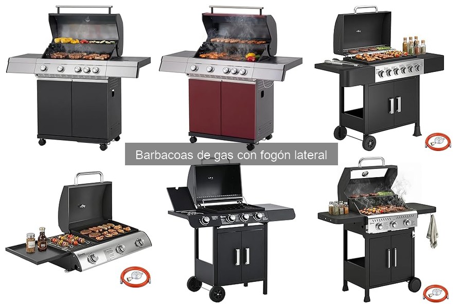** ¿Qué es una barbacoa de gas con fogón lateral? Características