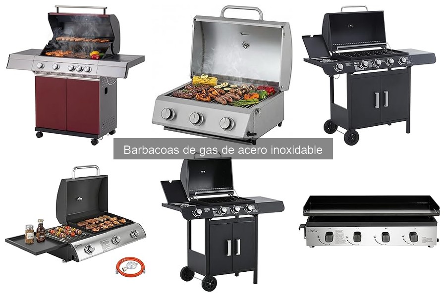 Recetas delicias para barbacoas de gas de acero inoxidable