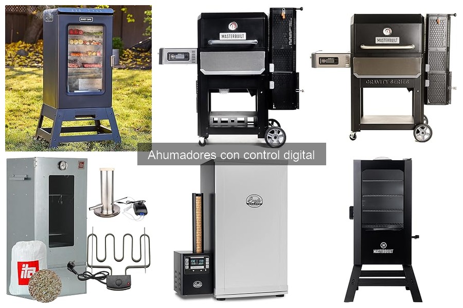 Recetas deliciosas para ahumadores con control digital