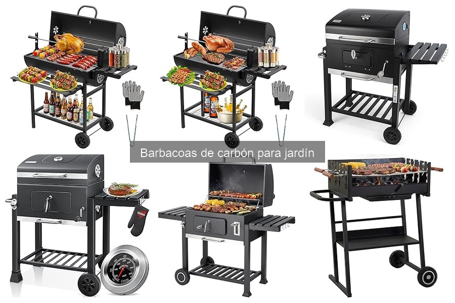 Recetas deliciosas para barbacoas de carbón en tu jardín