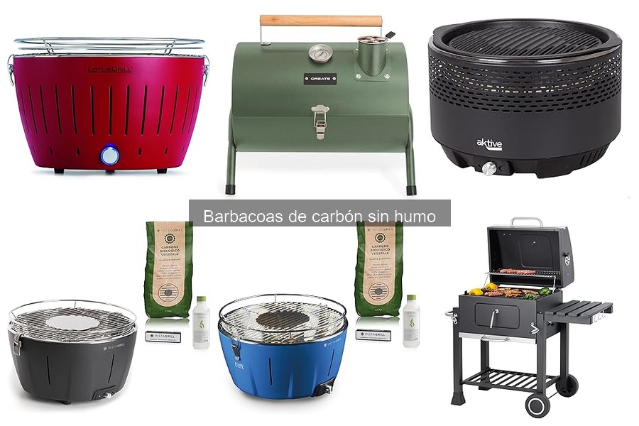Recetas deliciosas para barbacoas de carbón sin humo