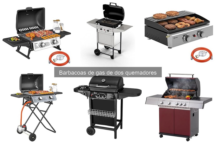 Recetas deliciosas para barbacoas de gas de dos quemadores