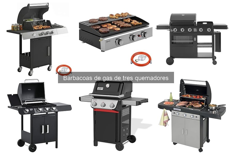 Recetas deliciosas para barbacoas de gas de tres quemadores