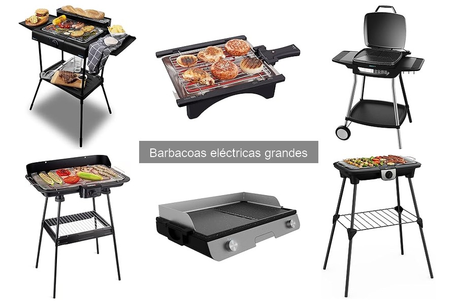 Recetas deliciosas para barbacoas eléctricas grandes