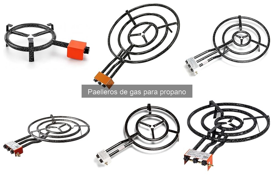 Recetas deliciosas para paelleros de gas a propano