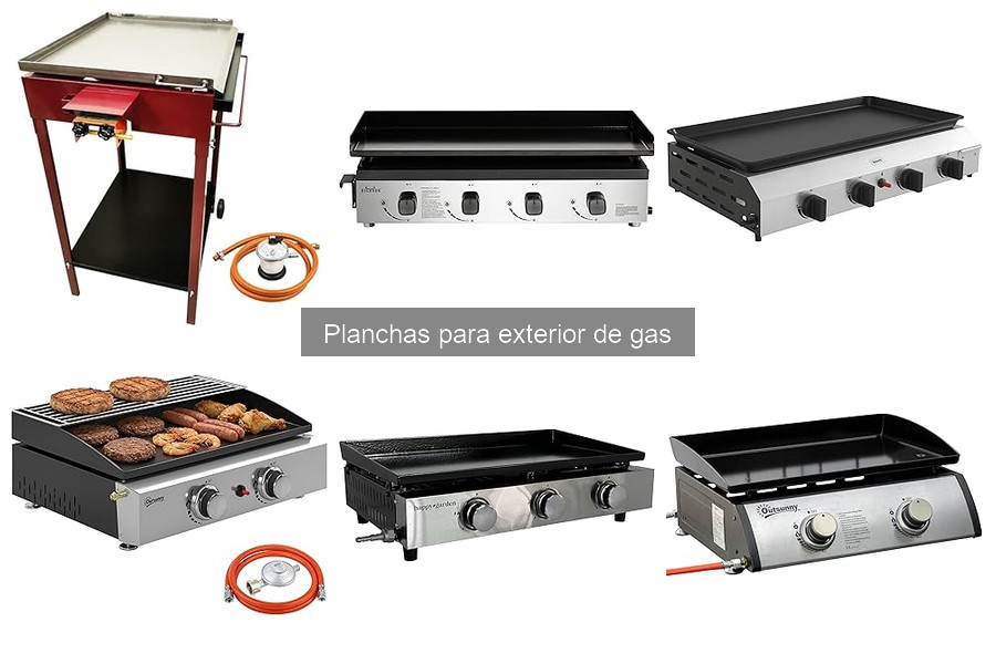 Recetas deliciosas para planchas de gas exterior