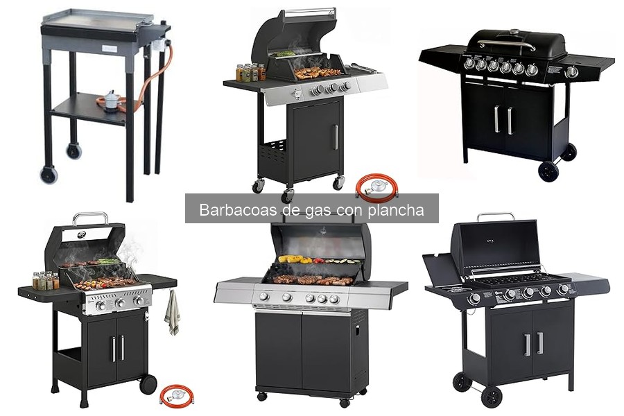 Recetas deliciosas para tu barbacoa de gas con plancha
