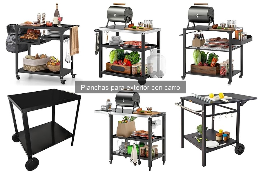 Recetas fáciles en planchas para exterior con carro
