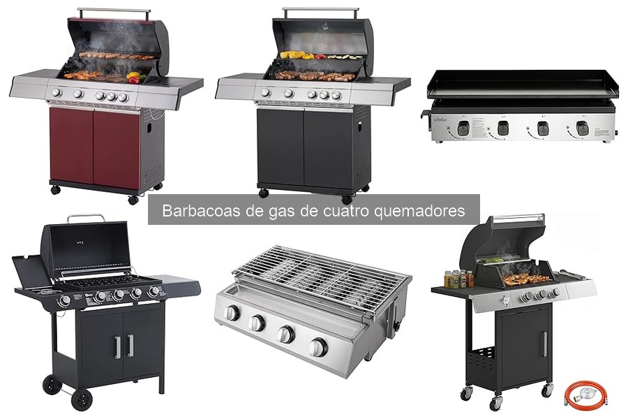 Recetas fáciles para barbacoa de gas de cuatro quemadores