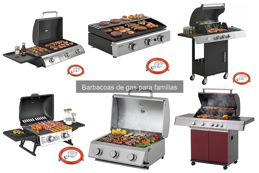 Recetas fáciles para barbacoas de gas en familia